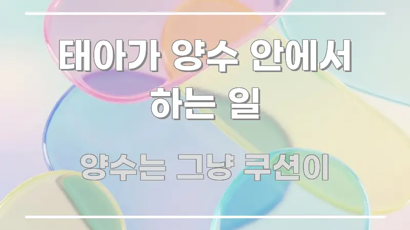 태아가 양수 안에서 하는 일 중요 내용만 뽑은 콘텐츠 요약 표지 이미지 - 본문 내용과 연관된 이미지