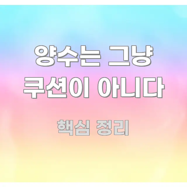 양수는 그냥 쿠션이 아니다 한 번에 이해되는 정보 요약 인포그래픽 이미지 - 설명을 돕는 이미지