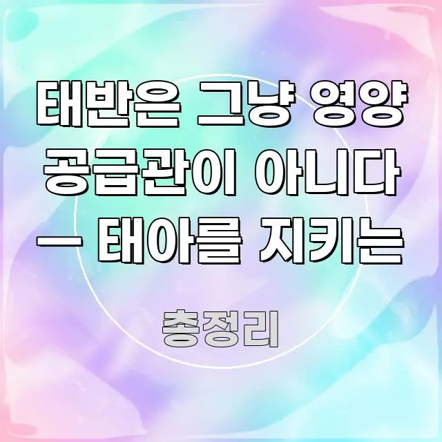 태반은 그냥 영양 공급관이 아니다 — 태아를 지키는 이해하기 쉬운 글 소개 썸네일 이미지 - 활용 예시 이미지