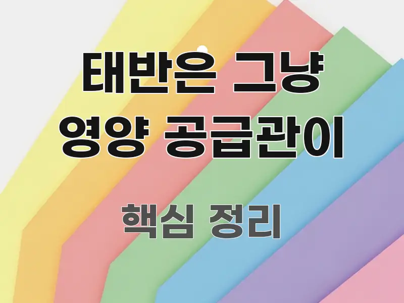 태반은 그냥 영양 공급관이 정보 이미지 태반은 그냥 영양 공급관이 실생활에 도움되는 텍스트 중심 디자인 표지
