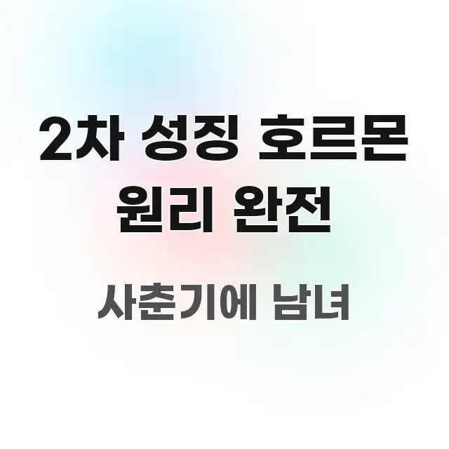 2차 성징 호르몬 원리 완전 이해하기 쉬운 텍스트 포스터 이미지 - 본문 내용과 연관된 이미지