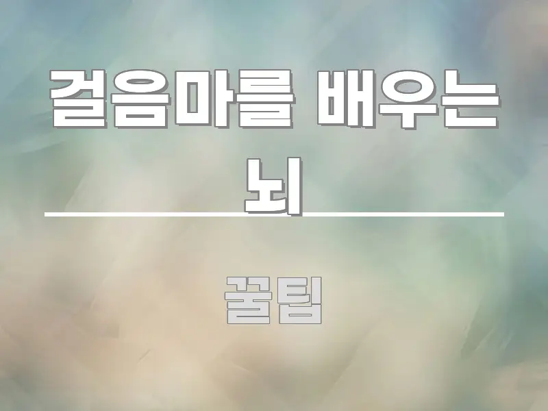걸음마를 배우는 뇌 정보 이미지 걸음마를 배우는 뇌 핵심만 담은 읽기 좋은 정보 카드