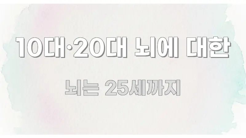 10대·20대 뇌에 대한 효율적으로 구성된 정보 정리 카드 이미지 - 참고용 이미지