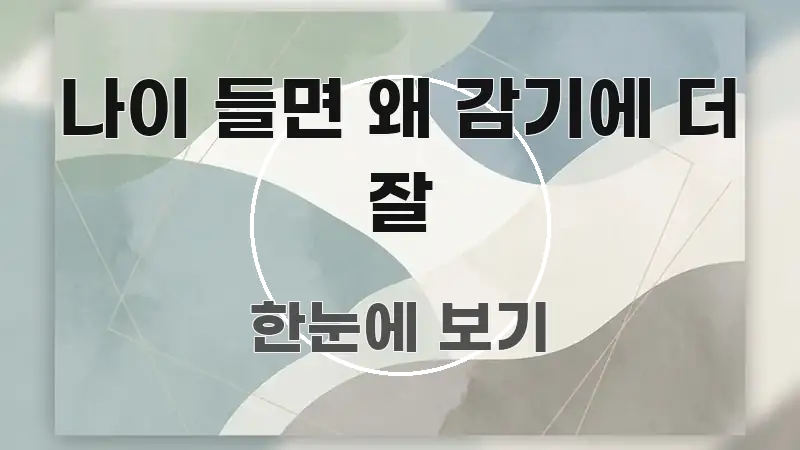 나이 들면 왜 감기에 더 잘 가독성 높게 정리한 핵심 키워드 시각화 이미지