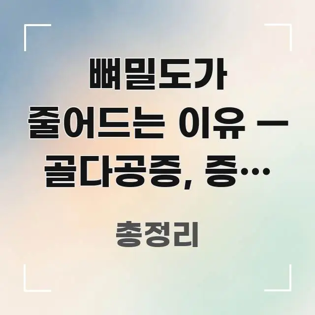 뼈밀도가 줄어드는 이유 — 골다공증, 증상 없이 흐름을 잡아주는 정보 요약 포스터