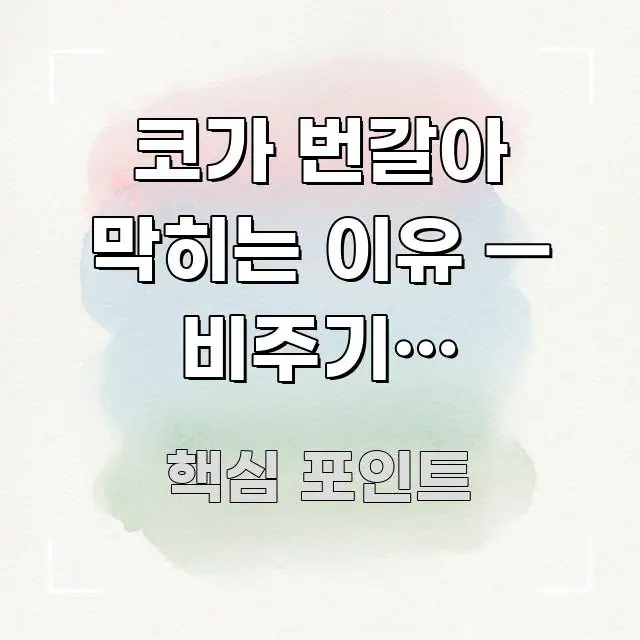 코가 번갈아 막히는 이유 — 비주기와 계속되는 한쪽 한눈에 들어오는 텍스트형 카드뉴스 표지 이미지